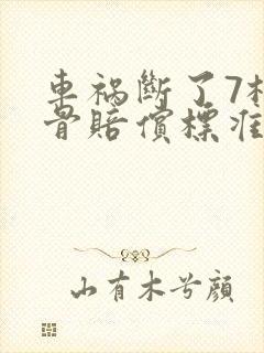 车祸断了7根肋骨赔偿标准