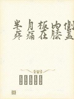 半月板内侧损伤疼痛在膝盖那个部位封面