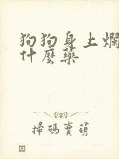 狗狗身上烂了用什么药封面