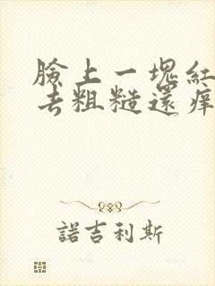 脸上一块红摸上去粗糙还痒脱皮