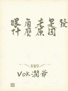 眼角老是发痒是什么原因