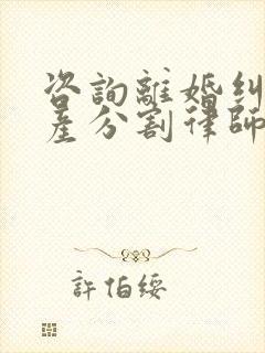 咨询离婚纠纷财产分割律师