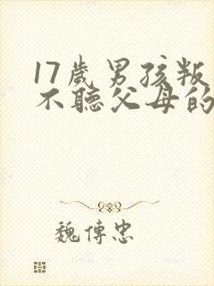 17岁男孩叛逆不听父母的话怎么办
