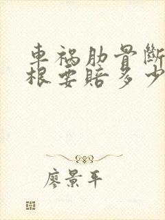 车祸肋骨断了三根要赔多少钱