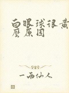 白眼球很黄是什么原因