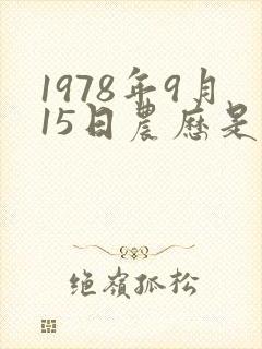 1978年9月15日农历是什么命
