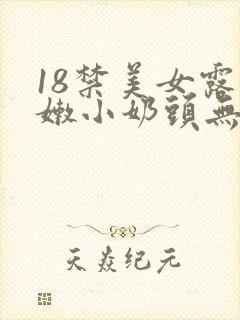 18禁美女露粉嫩小奶头无遮挡网站