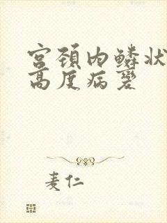 宫颈内鳞状上皮高度病变