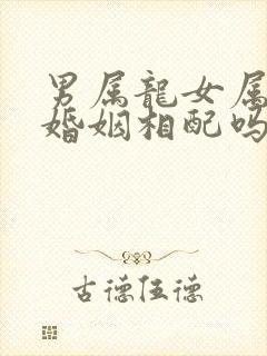 男属龙女属兔的婚姻相配吗