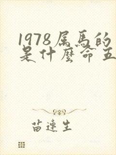 1978属马的是什么命五行属什么