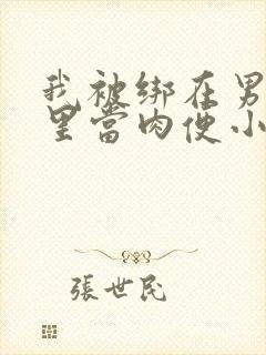 我被绑在男公厕里当肉便小说封面