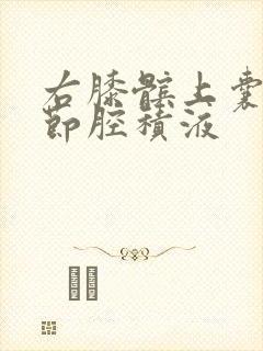 右膝髌上囊和关节腔积液封面