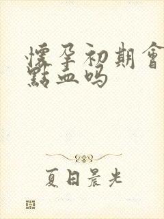 怀孕初期会流一点血吗