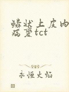 鳞状上皮内高度病变tct封面