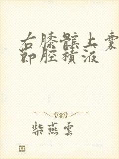 右膝髌上囊及关节腔积液封面