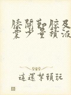 膝关节腔及髌上囊少量积液