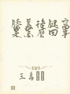 膝盖后腿窝筋疼是怎么回事封面