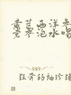 黄芪西洋参麦冬党参泡水喝的功效封面