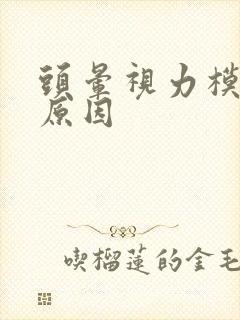头晕视力模糊的原因