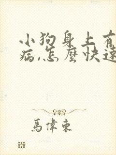 小狗身上有皮肤病,怎么快速治疗