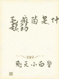 毛癣菌是什么引起的