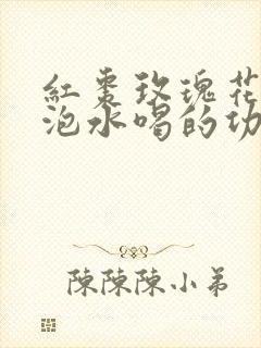 红枣玫瑰花枸杞泡水喝的功效