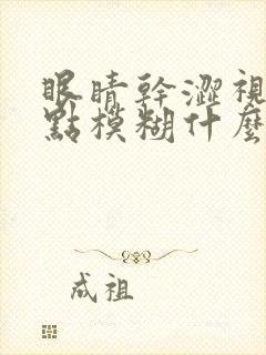 眼睛干涩视力有点模糊什么原因