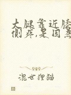 大腿靠近膝盖外侧疼,是因为什么
