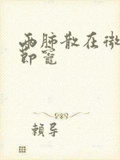 两肺散在微小结节灶封面