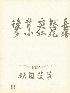 后背突然长了好多小红疙瘩