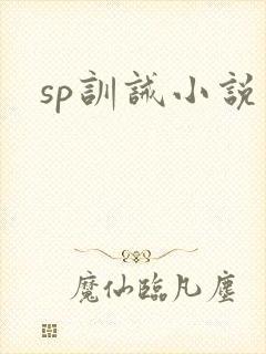 sp训诫小说