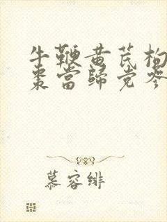 牛鞭黄芪枸杞红枣当归党参