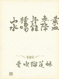 山楂丹参黄芪泡水喝能降血压吗封面