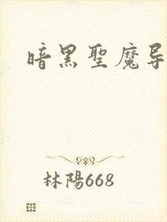 暗黑圣魔导