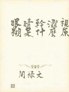 眼睛干涩视物模糊是什么原因