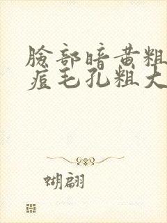 脸部暗黄粗糙长痘毛孔粗大