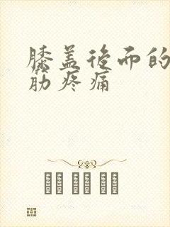 膝盖后面的腿窝筋疼痛
