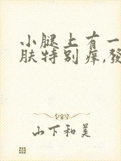 小腿上有一块皮肤特别痒,发黑发硬