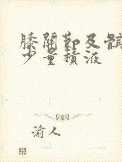 膝关节及髌上囊少量积液