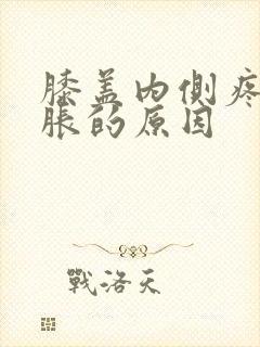 膝盖内侧疼痛肿胀的原因封面