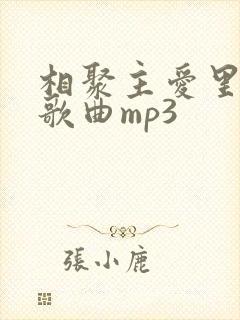 相聚主爱里原唱歌曲mp3