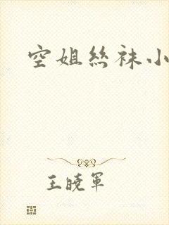 空姐丝袜小说