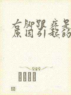 右脚跟疼是什么原因引起的