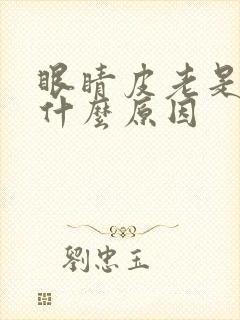 眼睛皮老是痒是什么原因