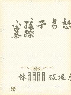 小孩子易怒脾气暴躁封面