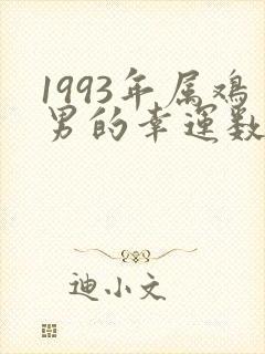 1993年属鸡男的幸运数字