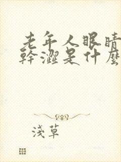 老年人眼睛模糊干涩是什么原因引起的