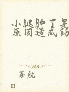 小腿肿了是什么原因造成的