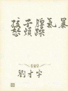 孩子脾气暴躁易怒烦躁封面