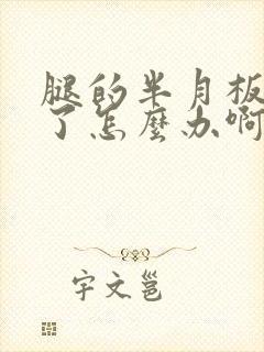 腿的半月板撕裂了怎么办啊封面